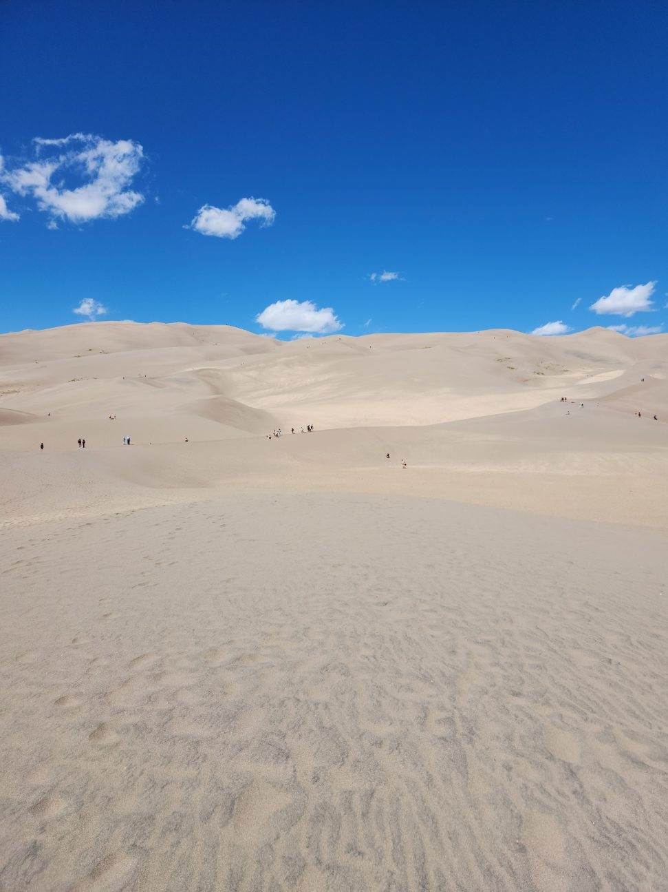 Captivating Colorado